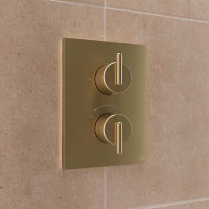 Crosswater 3ONE6 Lever 316 Brushed Brass Crossbox Single Outlet Shower Valve - Image 1