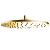 Product Cut out image of the Crosswater Union Brushed Brass 250mm Round Shower Head