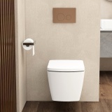 Imex Brushed Bronze Round Button Mechanical Dual Flush Plate Lifestyle