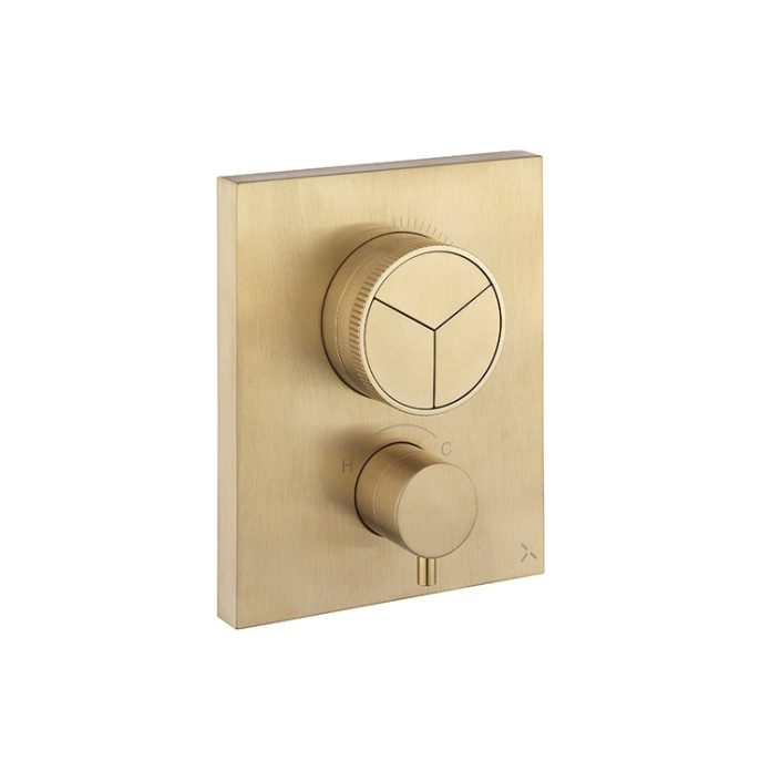 Photo of Crosswater MPRO Brushed Brass Triple Outlet Crossbox Push Shower Valve Cutout
