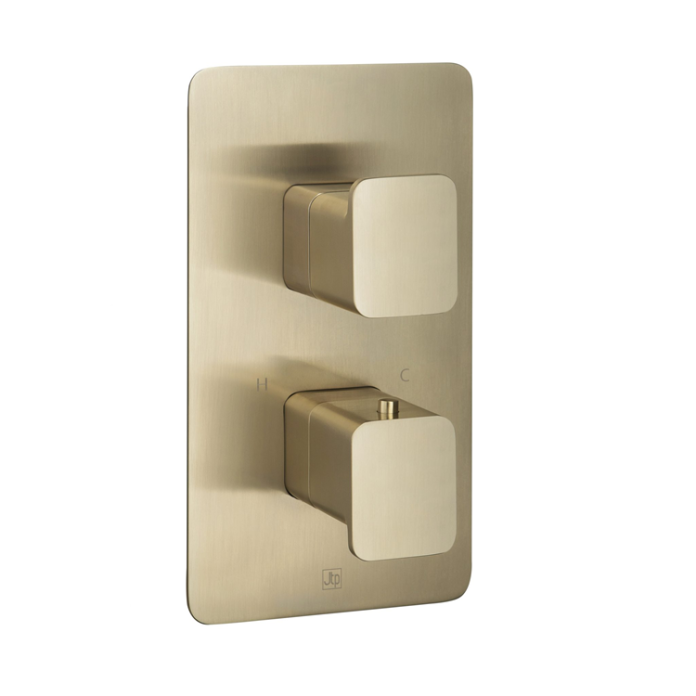 Photo of JTP Hix Brushed Brass Twin Outlet Thermostatic Shower Valve Cutout