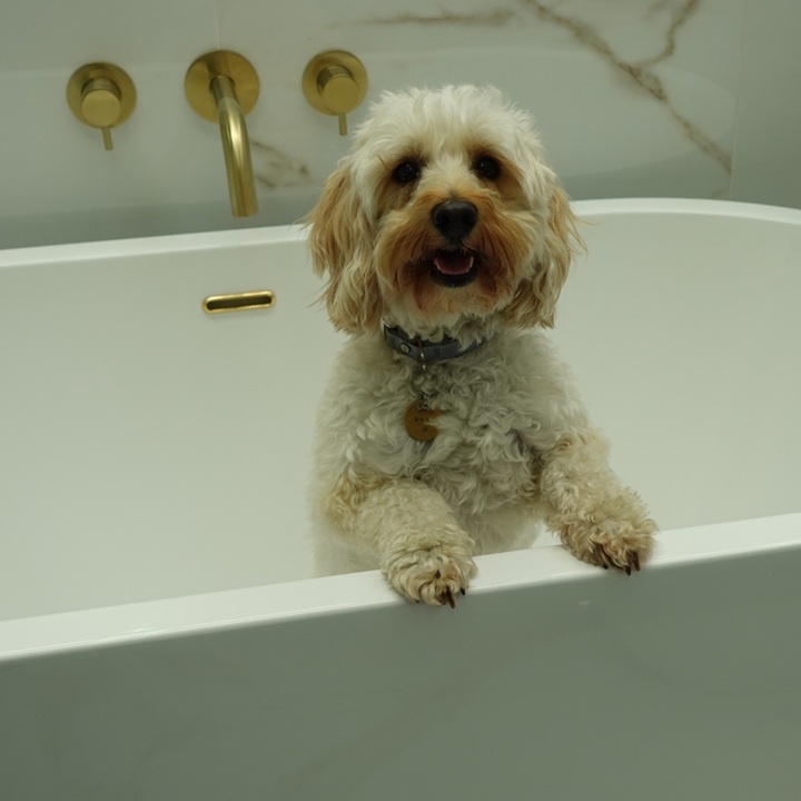 image of beau in freestanding bath