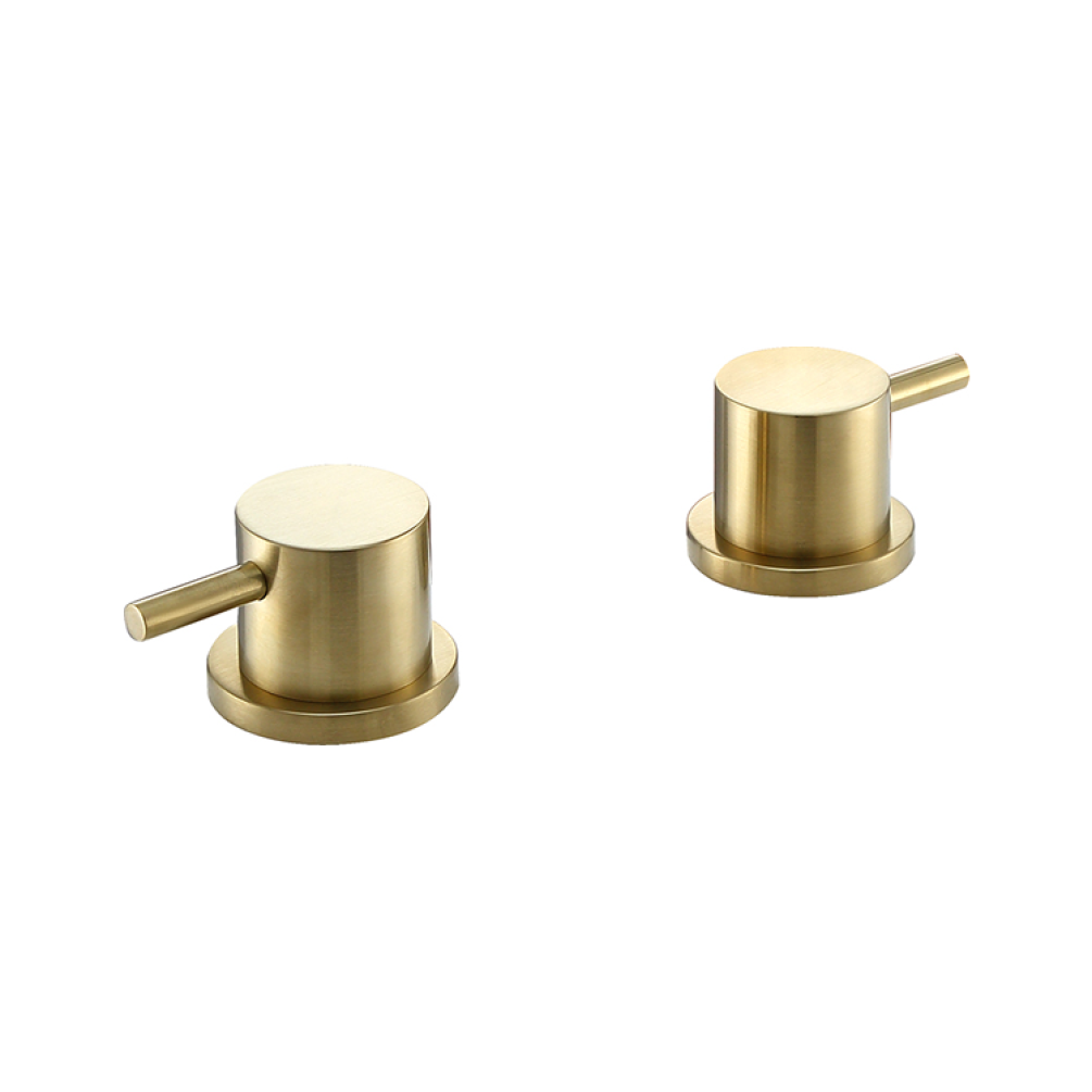 Product Cut out image of the JTP Vos Brushed Brass Panel Valves