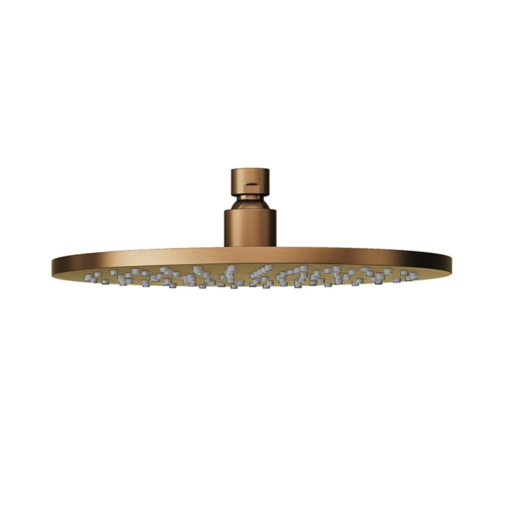 Product Cut out image of the Abacus Emotion Brushed Bronze Round Fixed Shower Head