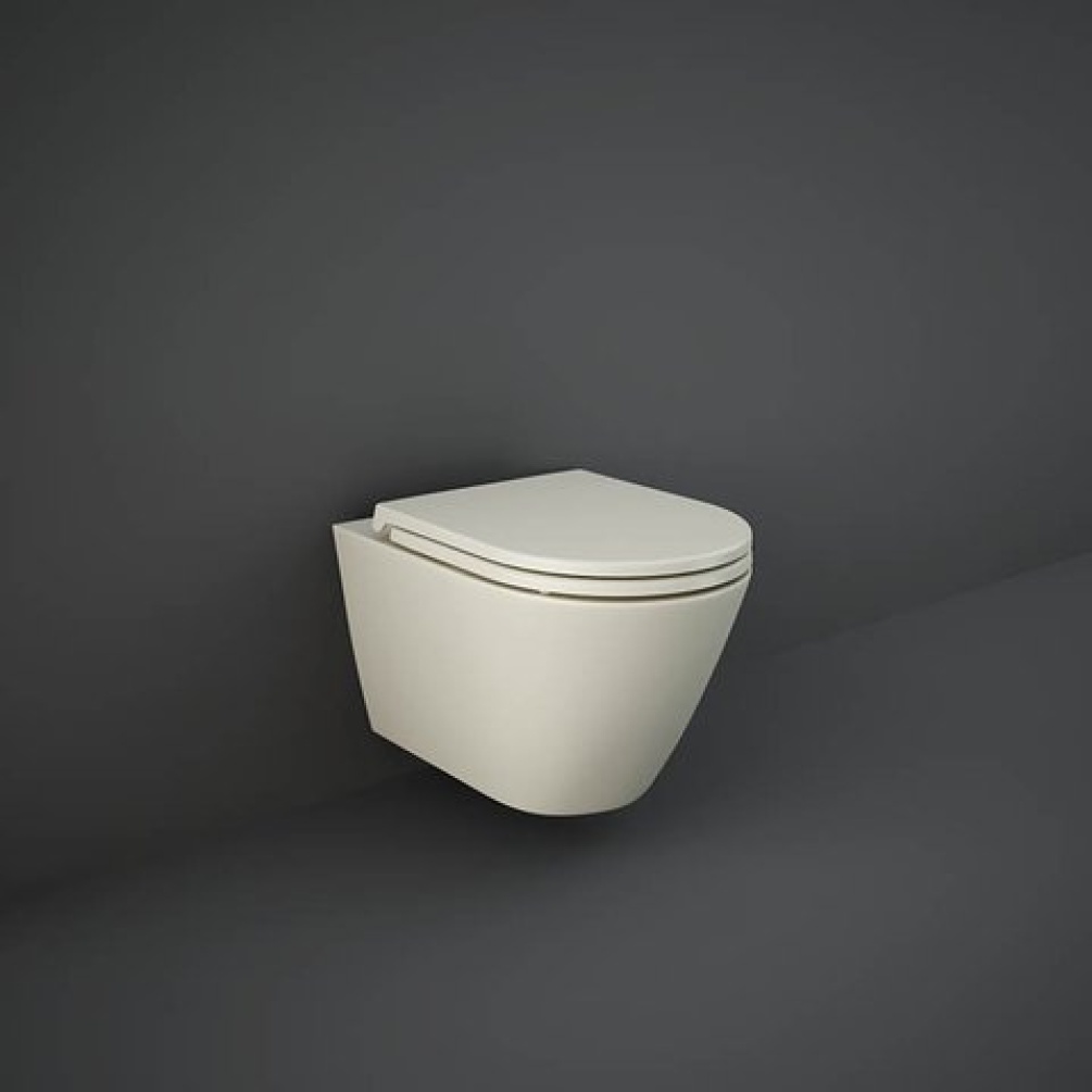 Photo Of RAK Feeling Matt Greige Rimless Wall Hung WC & Seat