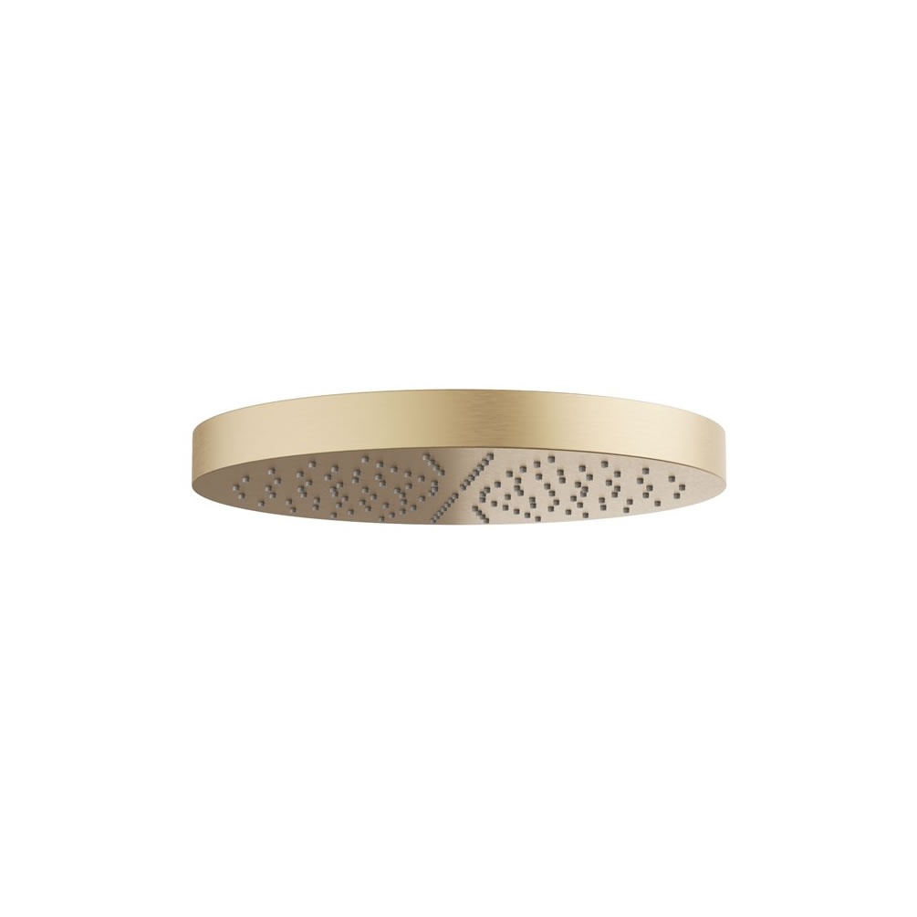 Cutout image of Crosswater Revive Brushed Brass Fixed Shower Head
