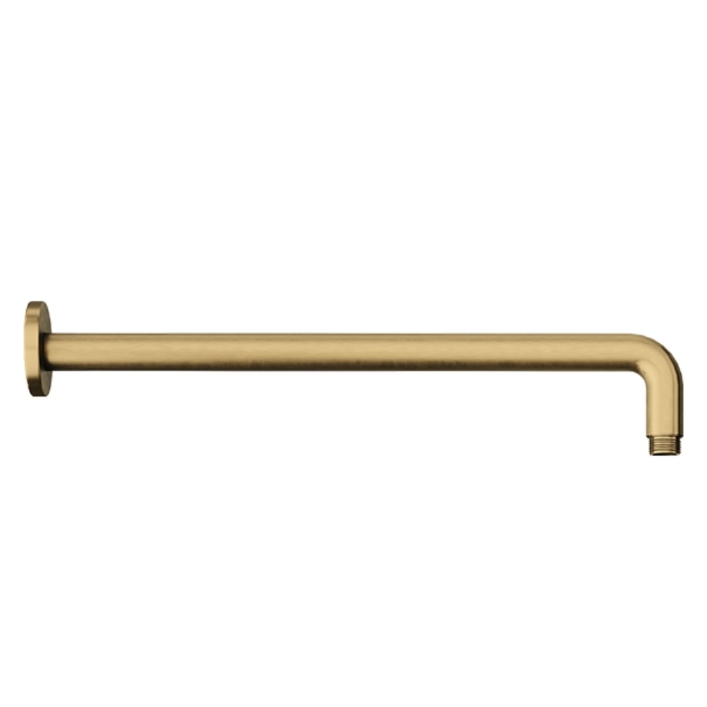 Product Cut out image of the Abacus Emotion Brushed Brass Round 380mm Fixed Wall Arm TBTS-414-6038