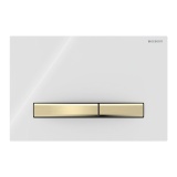 Cutout image of Geberit Sigma50 Square White / Brushed Brass Dual Flush Plate