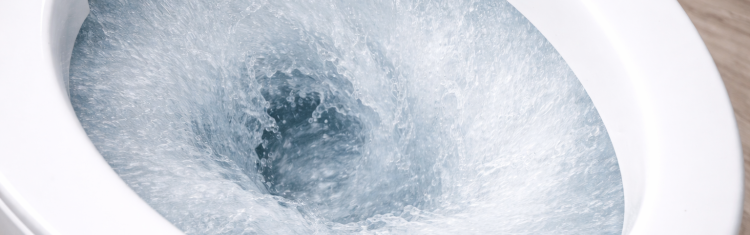 Image of a toilet flushing