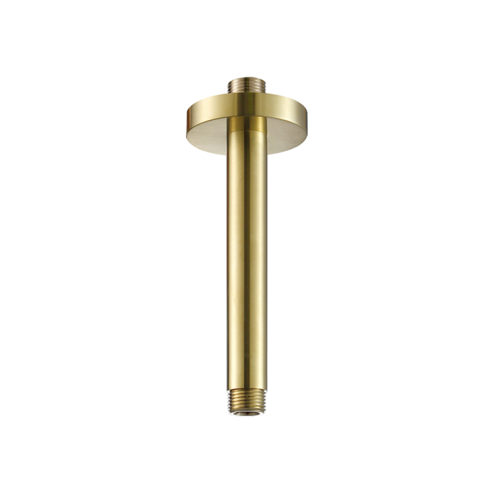 Product Cut out image of the JTP Vos Brushed Brass Ceiling Shower Arm