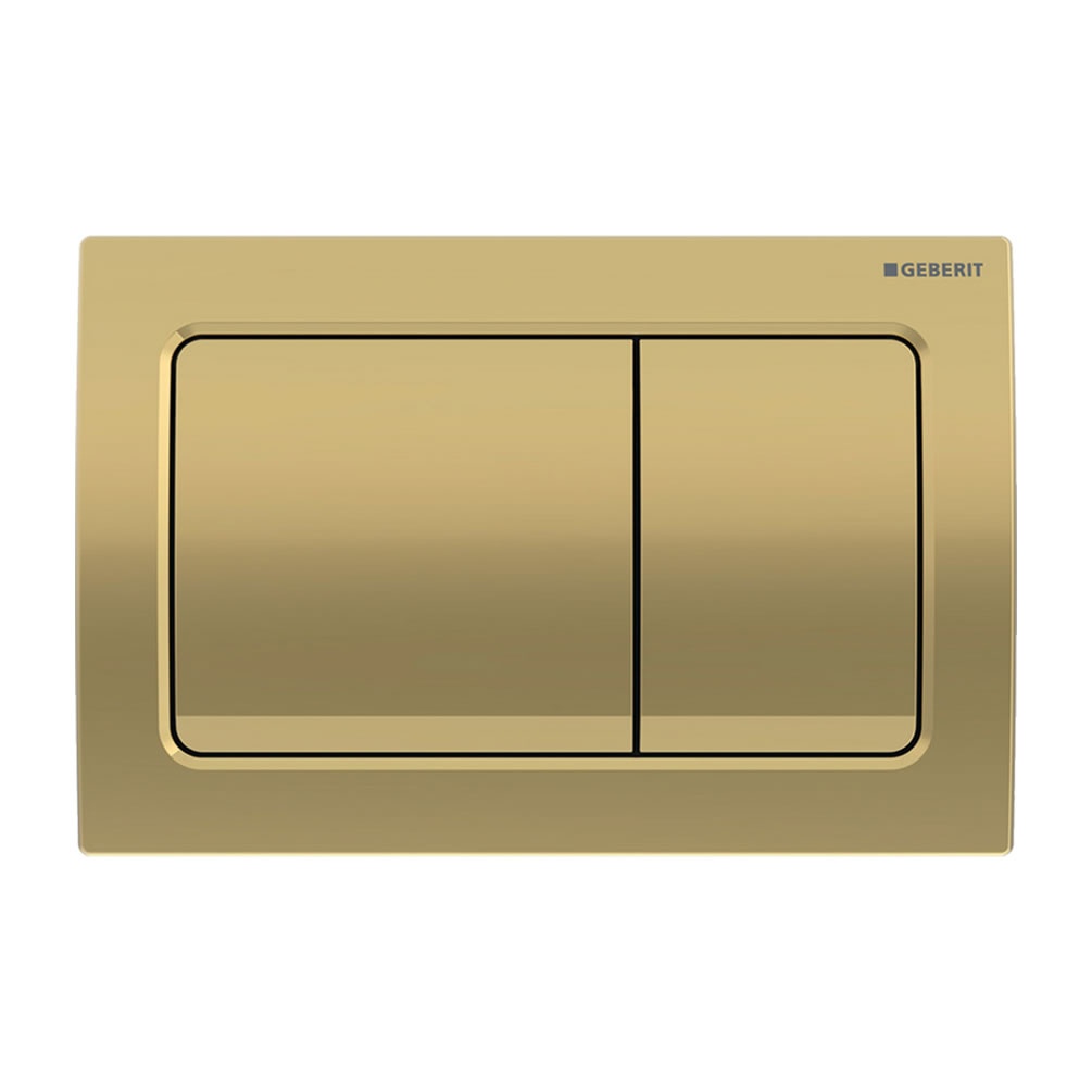 Cutout image of Geberit Alpha01 Square Matt Brass Dual Flush Plate