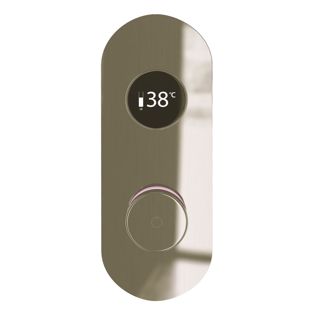 Cutout image of TED TOGO Brushed Nickel Oval Dual / Triple Outlet Digital Shower Valve