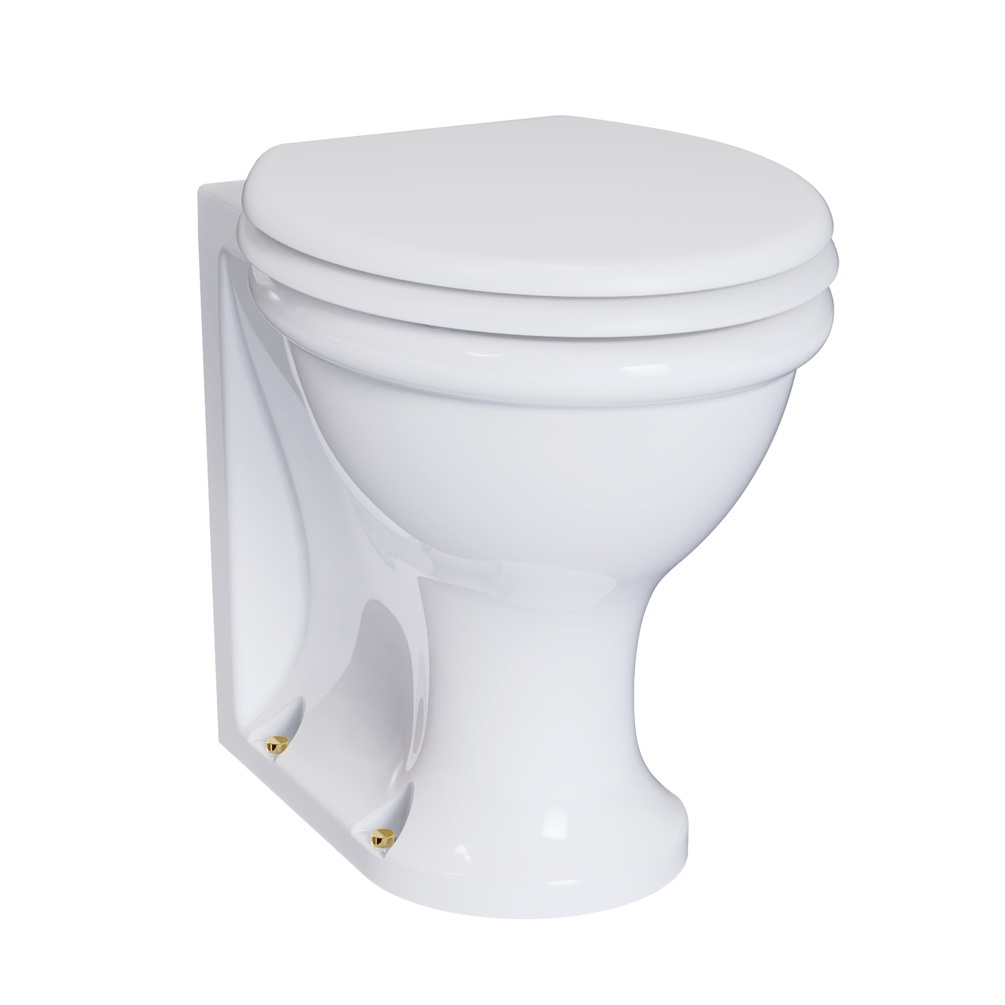 Product cut out image of Burlington Back to Wall Toilet with Gold Floor Fixings - GU6117CW SP387
