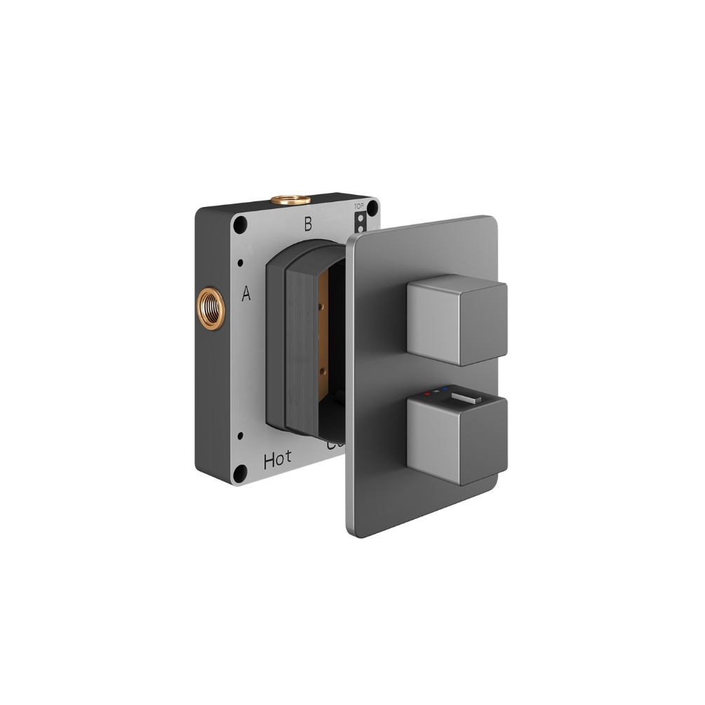 Product Cut out image of the Abacus Square Anthracite 3 Outlet 2 Handle Thermostatic Shower Valve