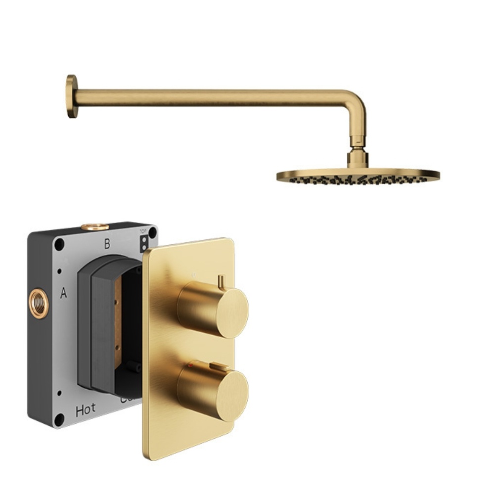 Product cut out image of the Abacus Iso Brushed Brass 1 Outlet Shower Pack with Fixed Shower Head
