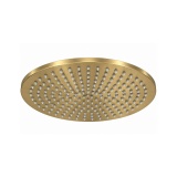 Cutout image of TED Brushed Brass 250mm Round Rainfall Shower Head