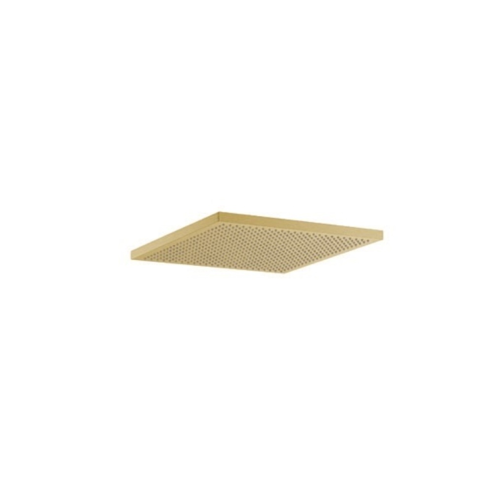 Product Cut out image of the Crosswater Tranquil 300 Brushed Brass Shower Head from a low angle