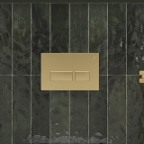 Crosswater MPRO Brushed Brass Dual Flush Plate - Lifestyle Image