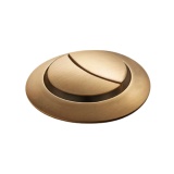 Product cut out image of the Tavistock Brushed Brass Round Dual Flush Button