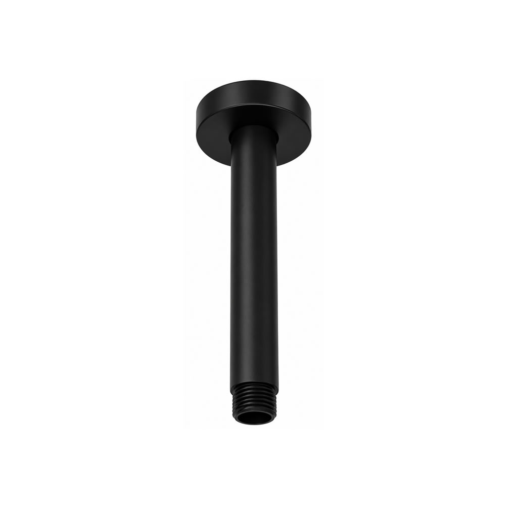 Cutout image of TED Matt Black Ceiling-Mounted Shower Arm
