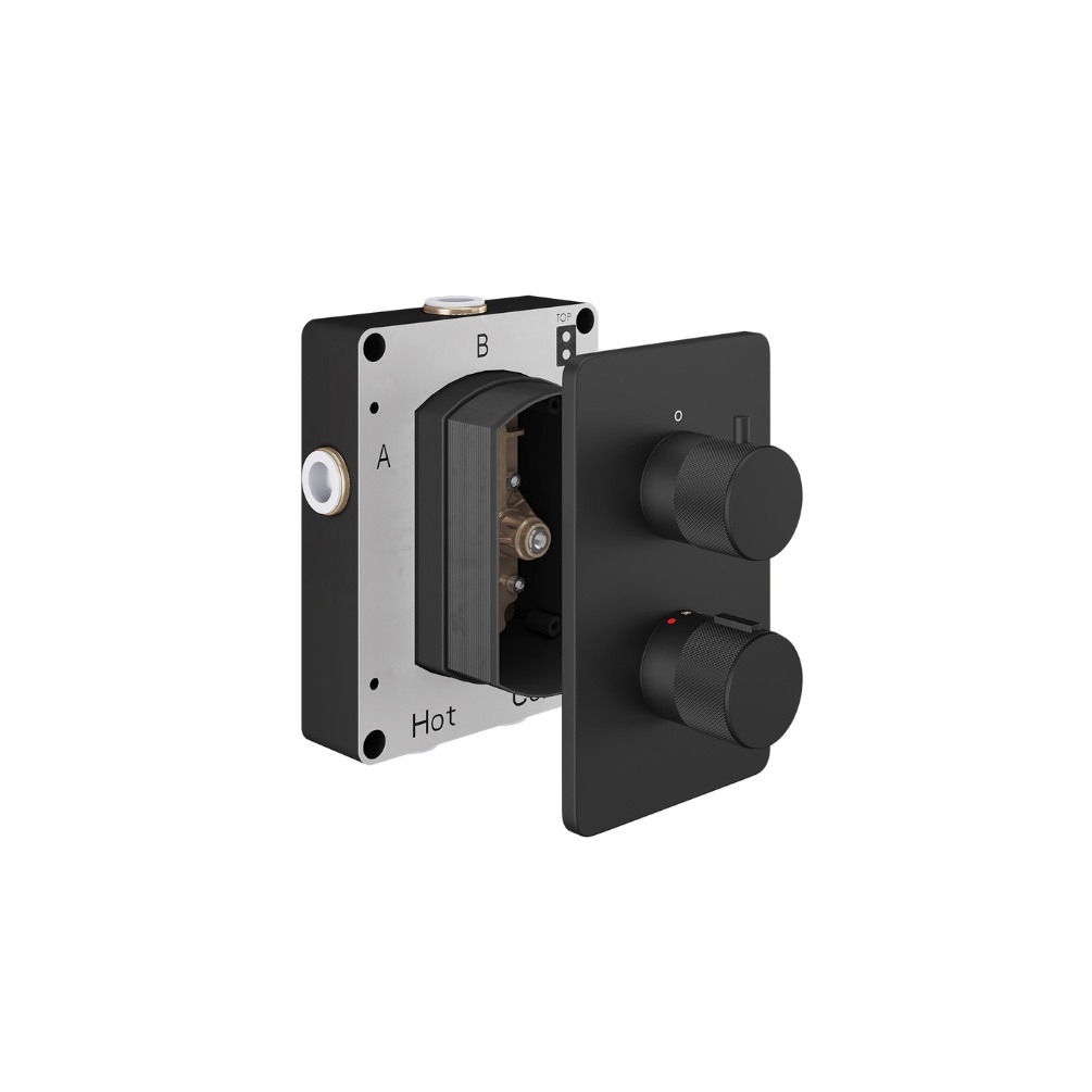 Product Cut out image of the Abacus Iso Pro Matt Black 2 Outlet 2 Handle Thermostatic Shower Valve