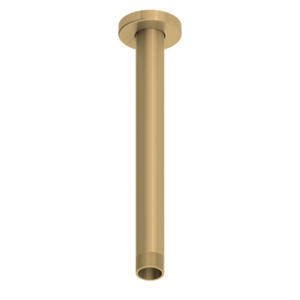 Product Cut out image of the Abacus Iso Pro Brushed Brass 250mm Fixed Ceiling Arm TBTS-414-6220