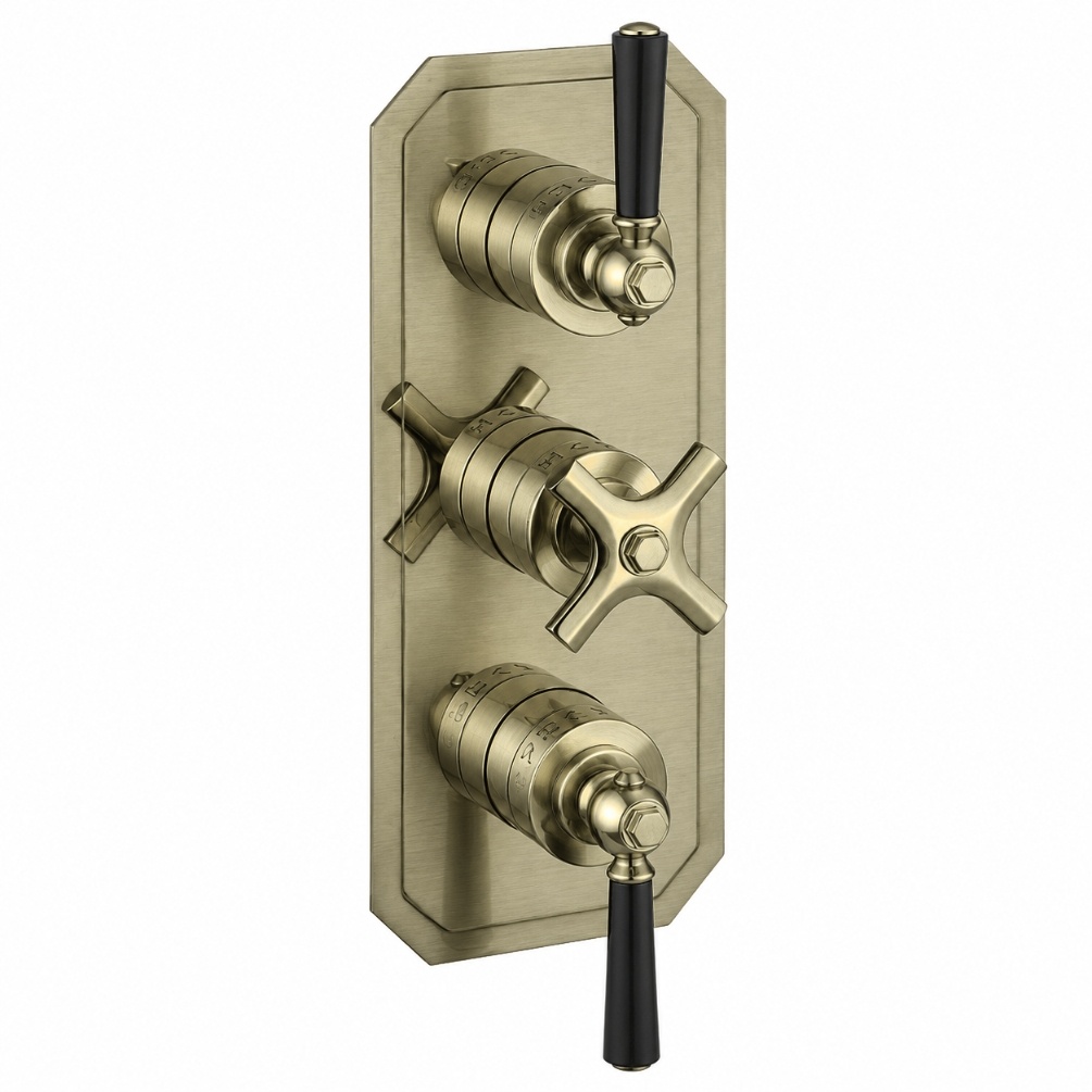 Cut out image of the Crosswater Waldorf Brushed Brass 2 Outlet 3 Handle Black Lever Thermostatic Shower Valve