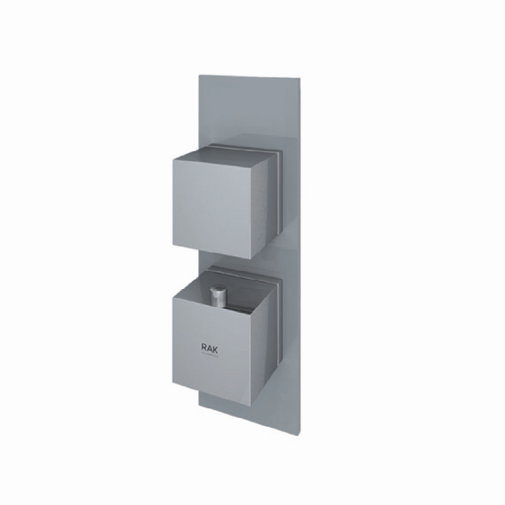 Photo of RAK Feeling Square Single Shower Valve in Grey