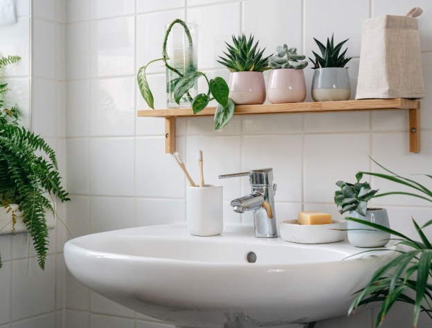 image of a bathroom sink with chrome tap and multiple different bathroom plants on wooden shelf above