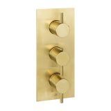 Photo of JTP Vos Brushed Brass Horizontal Two Outlet Shower Valve Cutout
