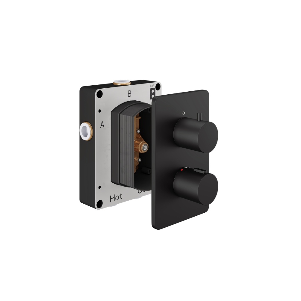 Product Cut out image of the Abacus Iso Matt Black 2 Outlet 2 Handle Thermostatic Shower Valve