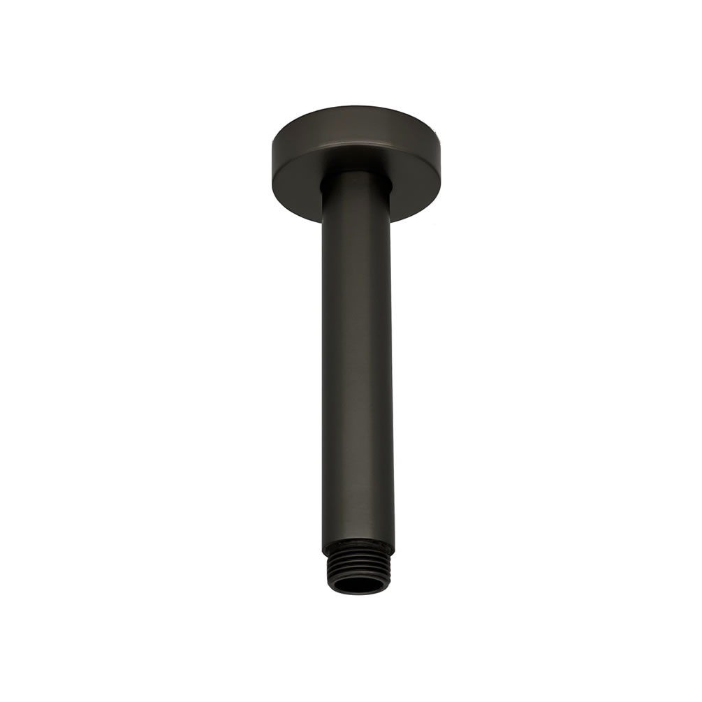 Cutout image of TED Gunmetal Grey Ceiling-Mounted Shower Arm