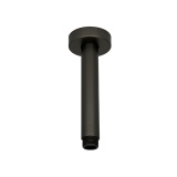 Cutout image of TED Gunmetal Grey Ceiling-Mounted Shower Arm