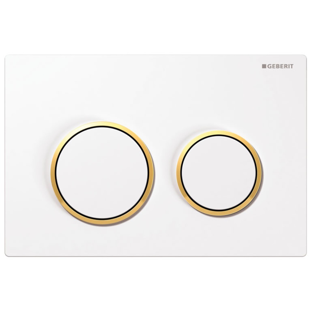Cutout image of Geberit Omega20 Dual Flush Plate White / Gold / White