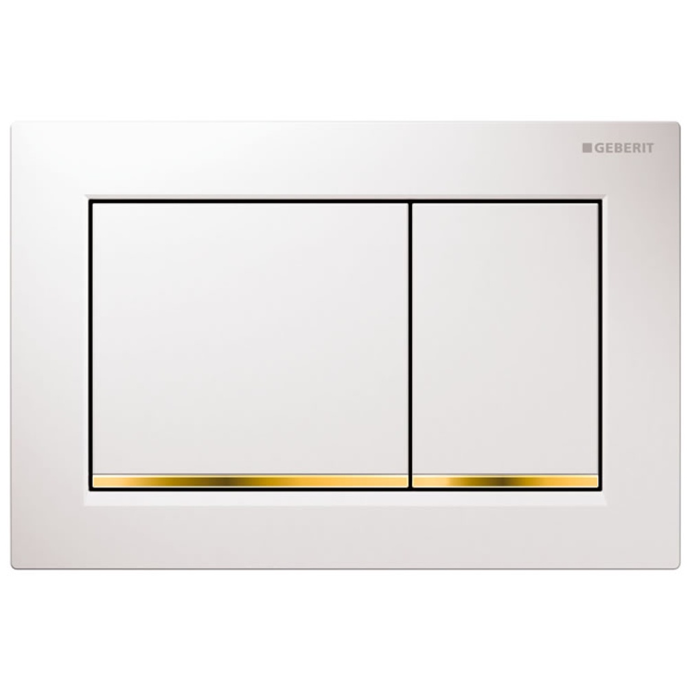 Cutout image of Geberit Omega30 Dual Flush Plate White / Gold / White