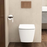 Imex Brushed Bronze Square Button Mechanical Dual Flush Plate Lifestyle
