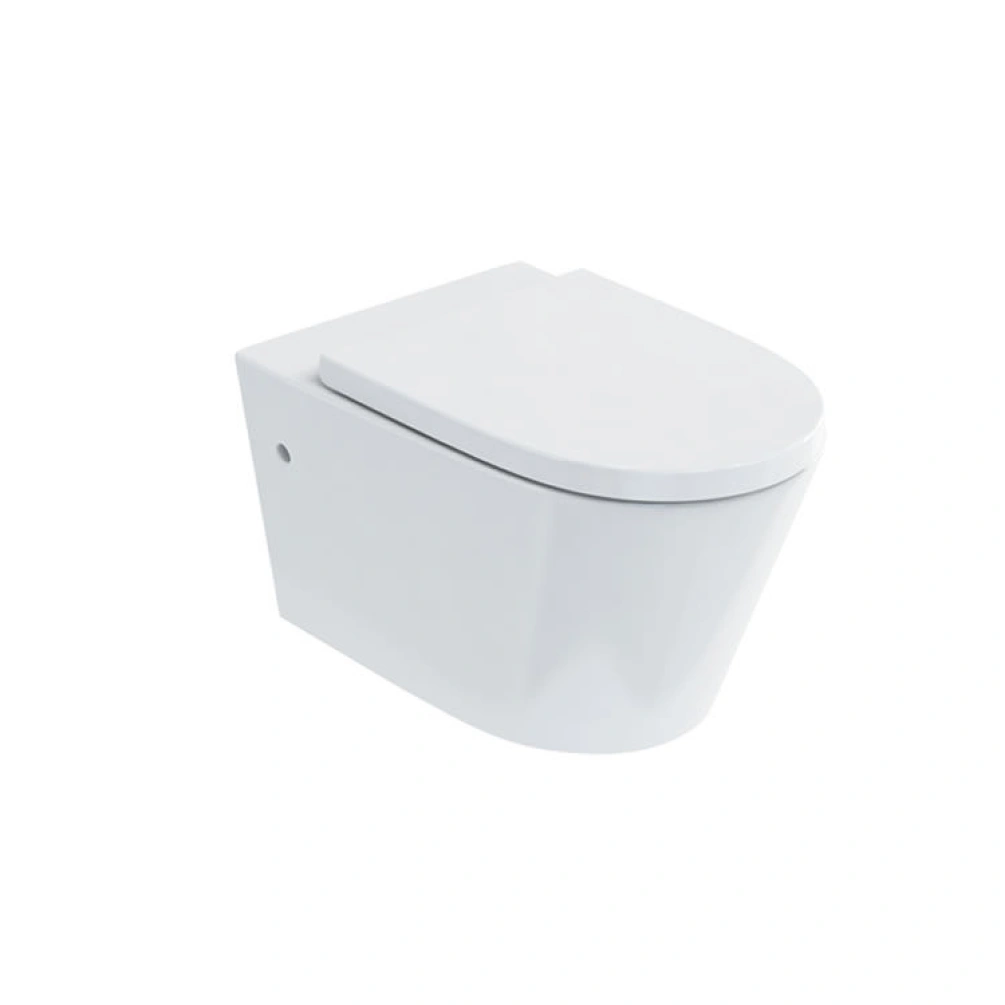 Product cut out image of Britton Sphere Wall Hung Toilet & Seat 15.B.35303