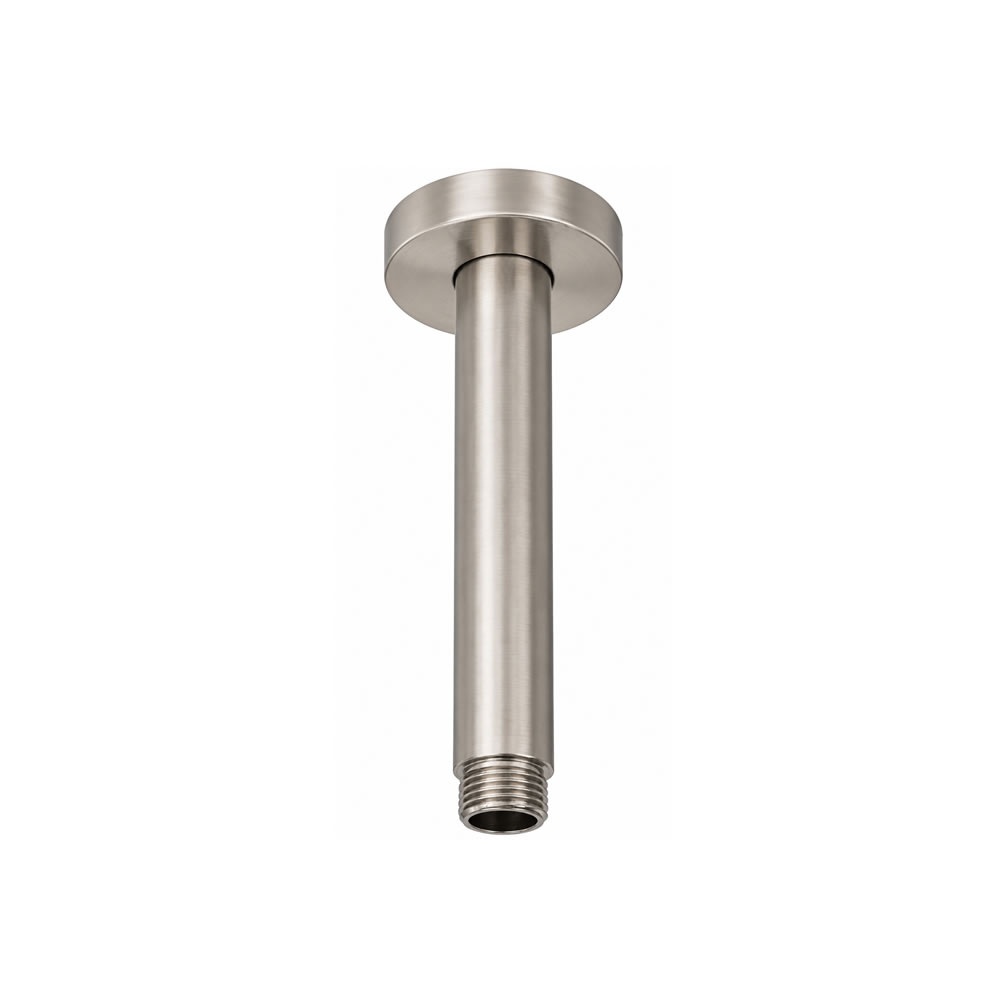 Cutout image of TED Brushed Nickel Ceiling-Mounted Shower Arm