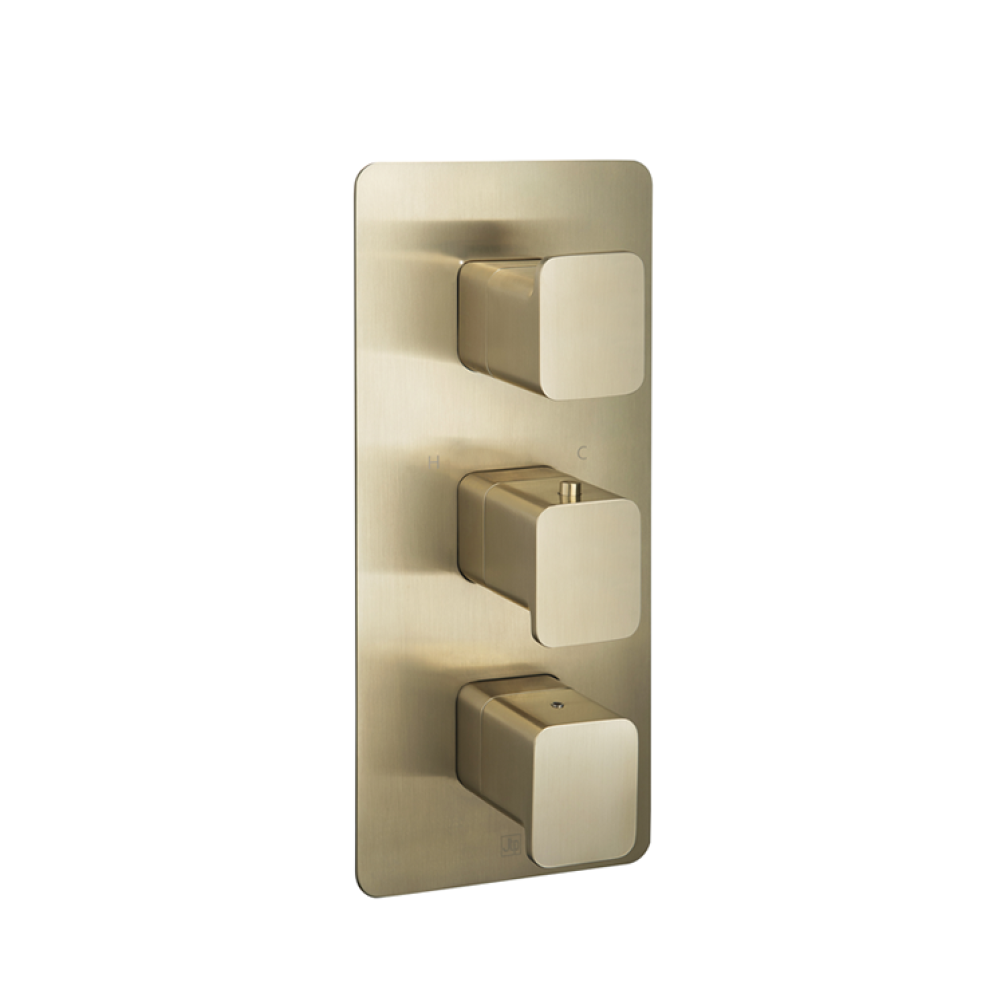 Photo of JTP Hix Brushed Brass Triple Outlet Thermostatic Shower Valve Cutout