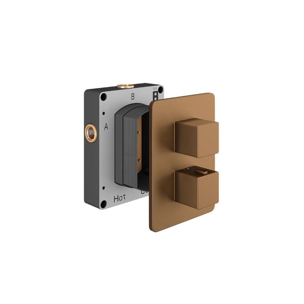Product Cut out image of the Abacus Square Brushed Bronze 1 Outlet 2 Handle Thermostatic Shower Valve
