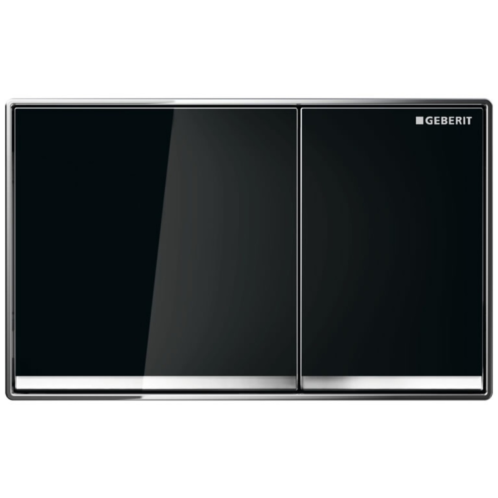 Cutout image of Geberit Omega60 Dual Flush Plate Black Glass